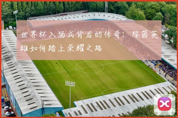 世界杯入场式背后的传奇：绿茵英雄如何踏上荣耀之路