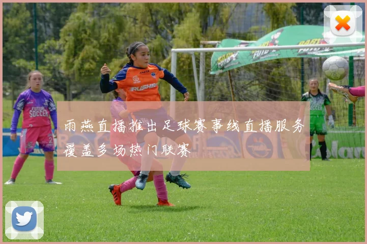 雨燕直播推出足球赛事线直播服务覆盖多场热门联赛