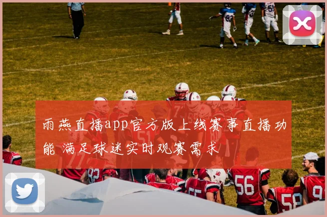 雨燕直播app官方版上线赛事直播功能 满足球迷实时观赛需求