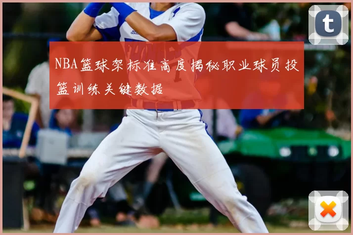 NBA篮球架标准高度揭秘职业球员投篮训练关键数据