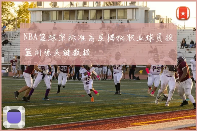 NBA篮球架标准高度揭秘职业球员投篮训练关键数据